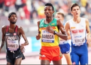 milan.com-加拿大队实现突破，历史最佳成绩再次刷新的简单介绍