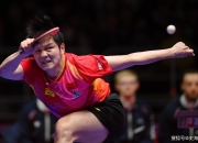 milan.com-包含日本队完胜瑞典队，樊振东高光表现的词条