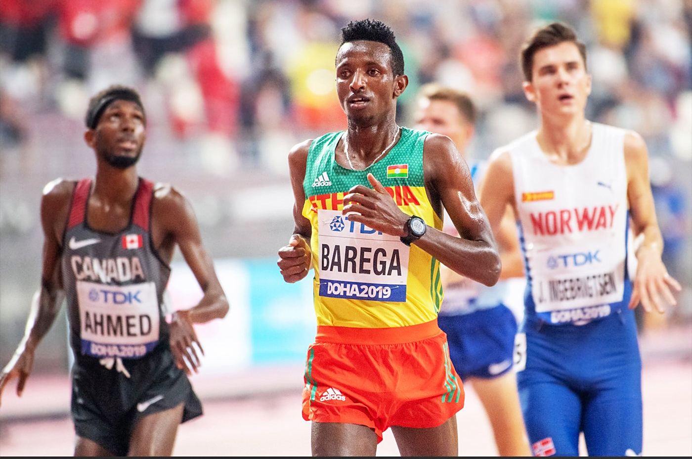 加拿大队实现突破，历史最佳成绩再次刷新的简单介绍