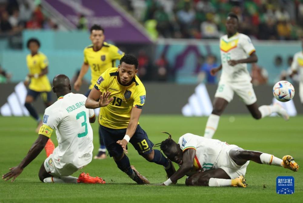 斯里兰卡男篮落败厄瓜多尔，无缘男篮世界杯强的简单介绍