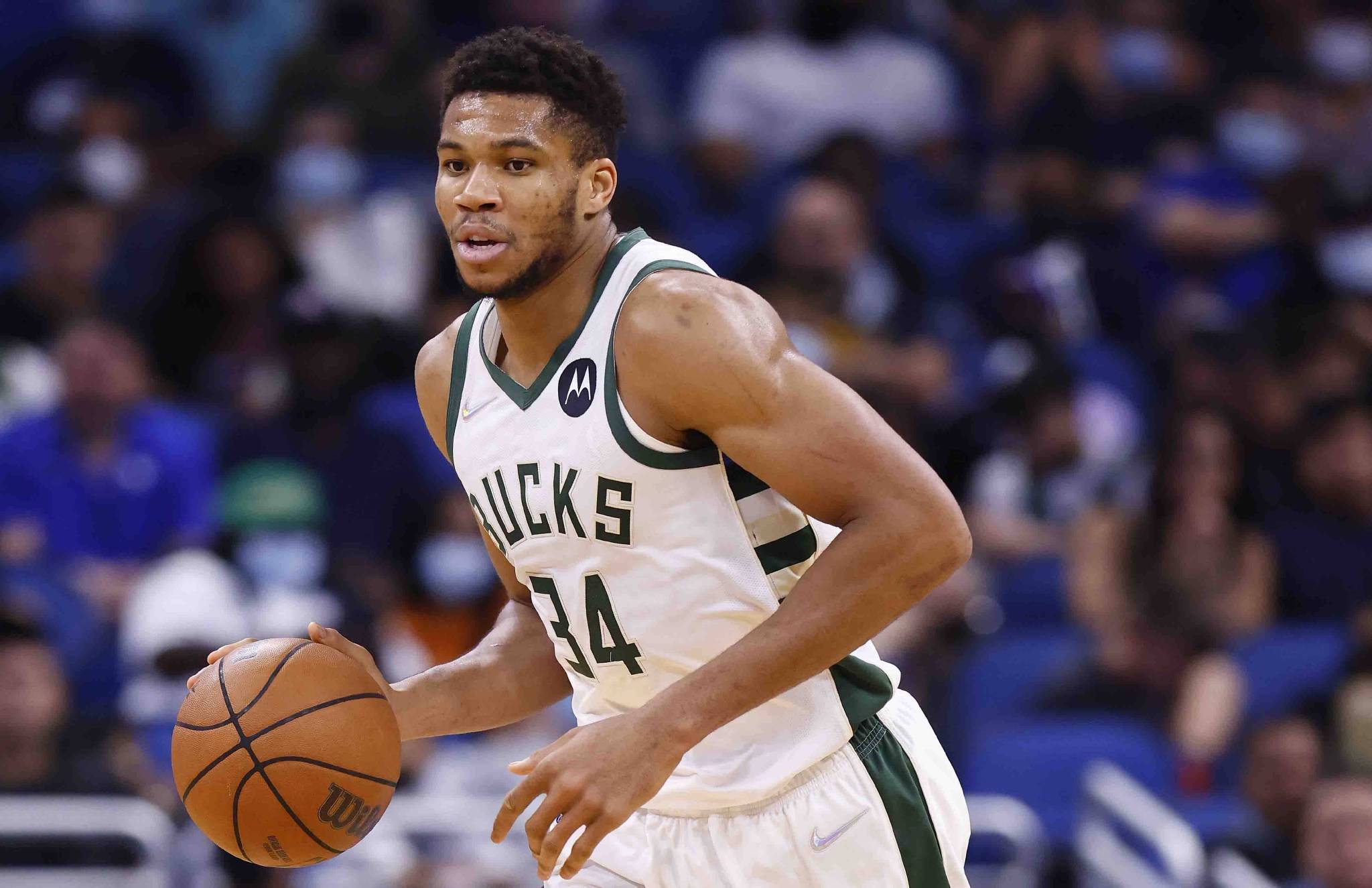 雄鹿近期战绩稳步上升,态势良好 雄鹿近期战绩稳步上升,态势良好